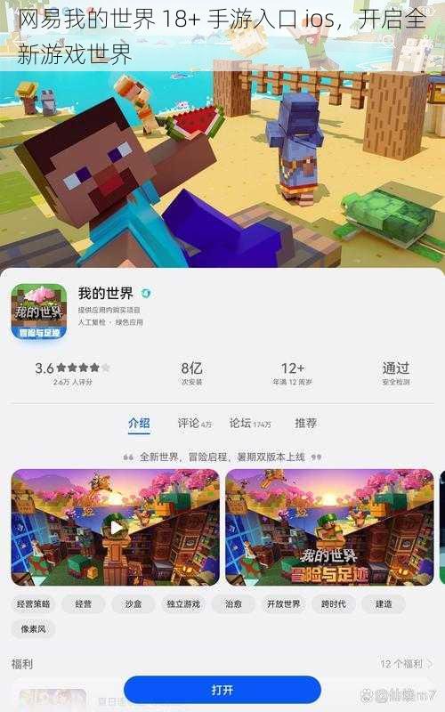 网易我的世界 18+ 手游入口 ios，开启全新游戏世界