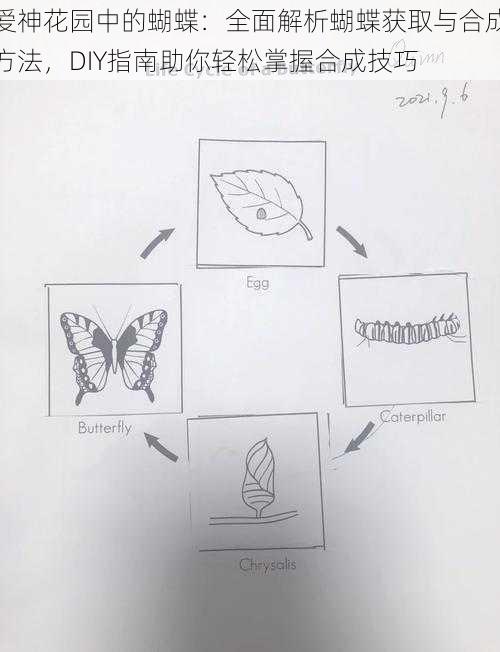 爱神花园中的蝴蝶：全面解析蝴蝶获取与合成方法，DIY指南助你轻松掌握合成技巧